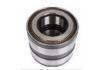 Wheel Bearing:805012.06.H195/201059