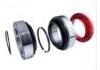 Rodamiento rueda Wheel Bearing:570530.H195/808918